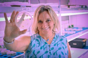 Descobreixen com es formen els estigmes de les flors, essencials per a la seua reproducció - (foto 2)