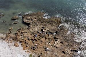 La Diputació de Castelló desenvolupa una segona campanya d'excavacions en el jaciment del Prat de Cabanes per a reforçar la seua protecció enfront de l'erosió de la mar - (foto 4)
