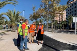 Nuevas actuaciones para mejorar la seguridad de ciclistas y peatones en el carril bici del entorno de la UMHE - (foto 2)