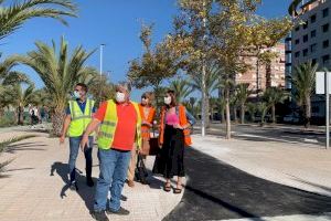 Nuevas actuaciones para mejorar la seguridad de ciclistas y peatones en el carril bici del entorno de la UMHE - (foto 3)