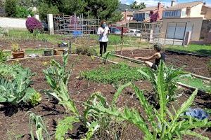 Benicàssim pone a disposición de sus vecinos 20 tablas de cultivo en el huerto urbano municipal Benicàssim pone a disposición de sus vecinos 20 tablas de cultivo en el huerto urbano municipal