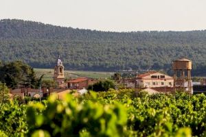 Fontanars dels Alforins acogerá el festival literario “Mi Pueblo Lee” el próximo sábado 23 de octubre Fontanars dels Alforins acogerá el festival literario “Mi Pueblo Lee” el próximo sábado 23 de octubre