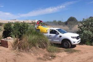 Vila-real incide en los tratamientos contra los mosquitos ante las lluvias y las altas temperaturas del inicio del otoño - (foto 3)