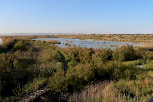 Vista panorámica Tancat de la Pipa @SEO/BirdLife