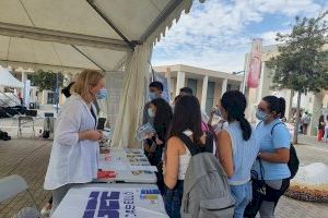 Una plantació d’arbres, jocs interculturals i orientació cap a l’ocupació, entre les activitats finals de la Setmana de Benvinguda de l’UJI