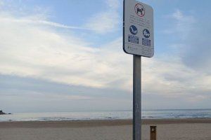 Benicàssim estrena l'1 de novembre la temporada d'accés de gossos a la platja