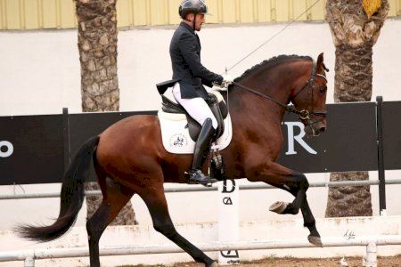 Alberto Poveda participará en el Salón Internacional del Caballo de Pura Raza Española