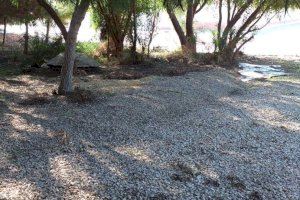 Los Verdes denuncian el estado de abandono del Parque ILO ILO en los balcones