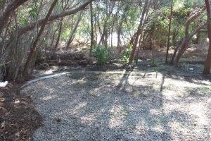 Los Verdes denuncian el estado de "abandono" del Parque ILO ILO en los balcones - (foto 2)