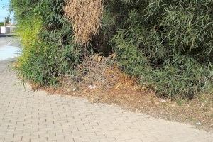 Los Verdes denuncian el estado de "abandono" del Parque ILO ILO en los balcones - (foto 4)