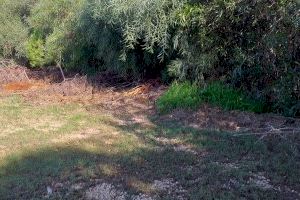 Los Verdes denuncian el estado de "abandono" del Parque ILO ILO en los balcones - (foto 5)