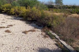 Los Verdes denuncian el estado de "abandono" del Parque ILO ILO en los balcones - (foto 7)