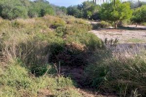 Los Verdes denuncian el estado de "abandono" del Parque ILO ILO en los balcones - (foto 10)