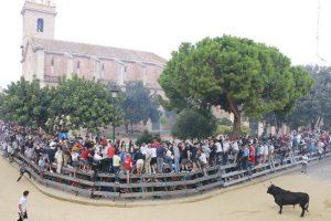 Después de 637 días, el 16 de octubre, primer día de «bous al carrer» en Puçol tras la pandemia