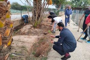 Medio Ambiente y ANSE plantan un reservorio de plantas aromáticas en el perímetro de los huertos urbanos municipales Medio Ambiente y ANSE plantan un reservorio de plantas aromáticas en el perímetro de los huertos urbanos municipales