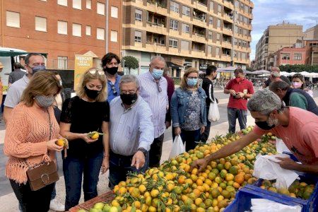 Una década de defensa de la agricultura local en Almassora Una década de defensa de la agricultura local en Almassora
