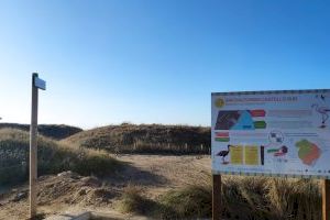 Xilxes suma un itinerario de observación de aves a sus atractivos turísticos