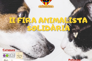 Alzira celebra el pròxim diumenge la II Fira Animalista Solidària a la plaça Major Alzira celebra el pròxim diumenge la II Fira Animalista Solidària a la plaça Major