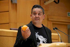 Compromís rebutjarà el Projecte de Llei de Cadena Alimentària per no acabar amb els desequilibris ni els preus indignes dels productes alimentaris