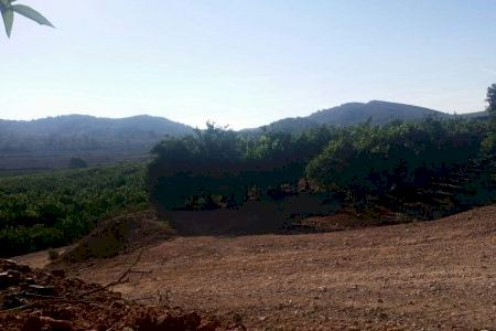 El paraje de Porxinos de Riba-roja pasa a formar parte del Porn del Parc del Túria como zona protegida y lo blinda ante cualquier proyecto urbanístico en el futuro