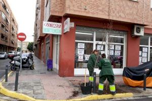 Alaquàs invierte 20.000 euros en una nueva plantación de árboles por diferentes zonas del municipio Alaquàs invierte 20.000 euros en una nueva plantación de árboles por diferentes zonas del municipio