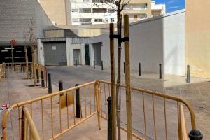 Alaquàs invierte 20.000 euros en una nueva plantación de árboles por diferentes zonas del municipio - (foto 3) Alaquàs invierte 20.000 euros en una nueva plantación de árboles por diferentes zonas del municipio - (foto 3)
