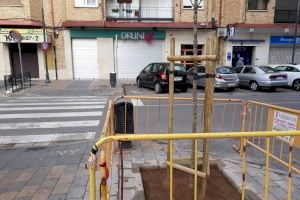 Alaquàs invierte 20.000 euros en una nueva plantación de árboles por diferentes zonas del municipio - (foto 4) Alaquàs invierte 20.000 euros en una nueva plantación de árboles por diferentes zonas del municipio - (foto 4)