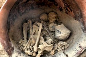 Investigadores de la UA y la UV descubren cambios genéticos en el sur de la península ibérica en la Edad del Bronce - (foto 4)