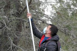 Las cajas nido han facilitado la reproducción de especies amenazadas en les Moles de Paterna - (foto 3)