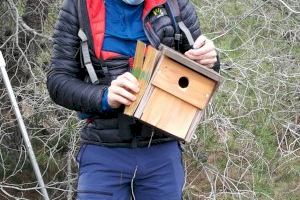 Las cajas nido han facilitado la reproducción de especies amenazadas en les Moles de Paterna - (foto 4)