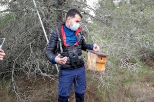 Las cajas nido han facilitado la reproducción de especies amenazadas en les Moles de Paterna - (foto 5)