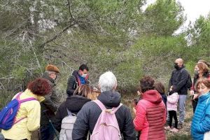Las cajas nido han facilitado la reproducción de especies amenazadas en les Moles de Paterna - (foto 2)