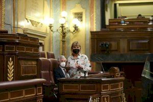 Ros (PSPV-PSOE) destaca que l'augment en un 23,3% de la partida per a la dependència en els PGE de 2022 permetrà atendre a més de 15.000 usuaris en Castelló Ros (PSPV-PSOE) destaca que l'augment en un 23,3% de la partida per a la dependència en els PGE de 2022 permetrà atendre a més de 15.000 usuaris en Castelló