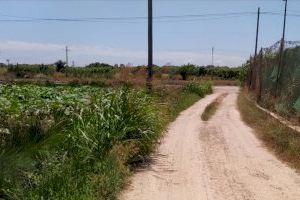 Valencia concluye la reparación y adecuación de cuatro caminos rurales en Campanar y Castellar-l’Oliveral