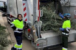 El Ayuntamiento de Llíria apuesta por un Centro Especial de Empleo para llevar a cabo los servicios de recogida de poda