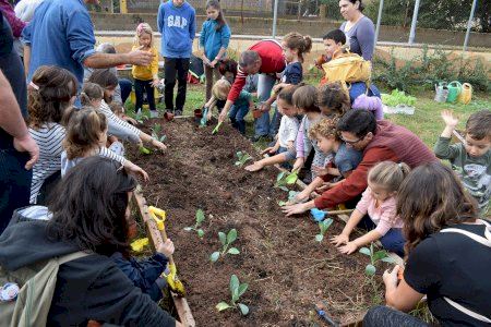 Almassora instalará los primeros compostadores en colegios en 2022 Almassora instalará los primeros compostadores en colegios en 2022