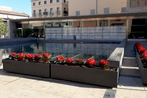 València se viste de Navidad con 5.000 flores de Pascua, distribuidas por todos los barrios y pueblos