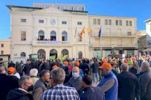 Importacions, plagues i pujada de costos asfixien les economies familiars de les persones llauradores i professionals de la Comunitat Valenciana Importacions, plagues i pujada de costos asfixien les economies familiars de les persones llauradores i professionals de la Comunitat Valenciana