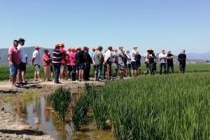 Importacions, plagues i pujada de costos asfixien les economies familiars de les persones llauradores i professionals de la Comunitat Valenciana - (foto 3) Importacions, plagues i pujada de costos asfixien les economies familiars de les persones llauradores i professionals de la Comunitat Valenciana - (foto 3)