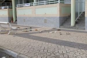 Adverteixen de la falta de manteniment i neteja del nucli marítim de Nules - (foto 4)