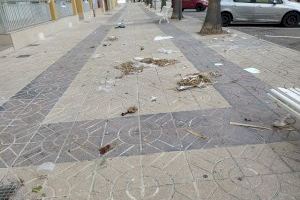 Adverteixen de la falta de manteniment i neteja del nucli marítim de Nules - (foto 5)