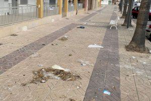 Adverteixen de la falta de manteniment i neteja del nucli marítim de Nules