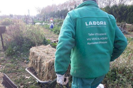 Alaquàs participa por tercer año consecutivo en el Banco de Paja de Arroz de la Albufera