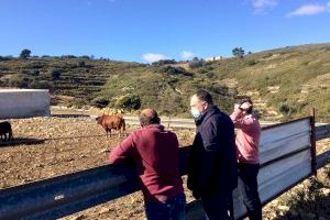 El PPCS acudeix a Madrid "per a defensar la veu de l'interior de Castelló"