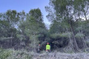 Comencen les actuacions per a la millora de massa i terrenys forestals a “la Casa del Tío Mariano” Comencen les actuacions per a la millora de massa i terrenys forestals a “la Casa del Tío Mariano”