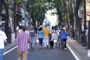 València, entre les millors ciutats d'Espanya per viatjar amb la mascota