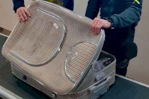 Enxampat amb 99.000 euros en la maleta quan anava a prendre un vol des de València a Europa de l'Est