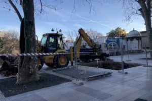 Xàtiva replantarà un plataner de l’Avinguda de Selgas mitjançant una solució pionera en la conca mediterrània