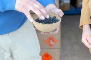 Tot llest perquè València retrunyi a la macrodespertà - (foto 3)