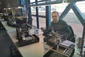 Un borrianenc campió mundial d'ornitologia esportiva